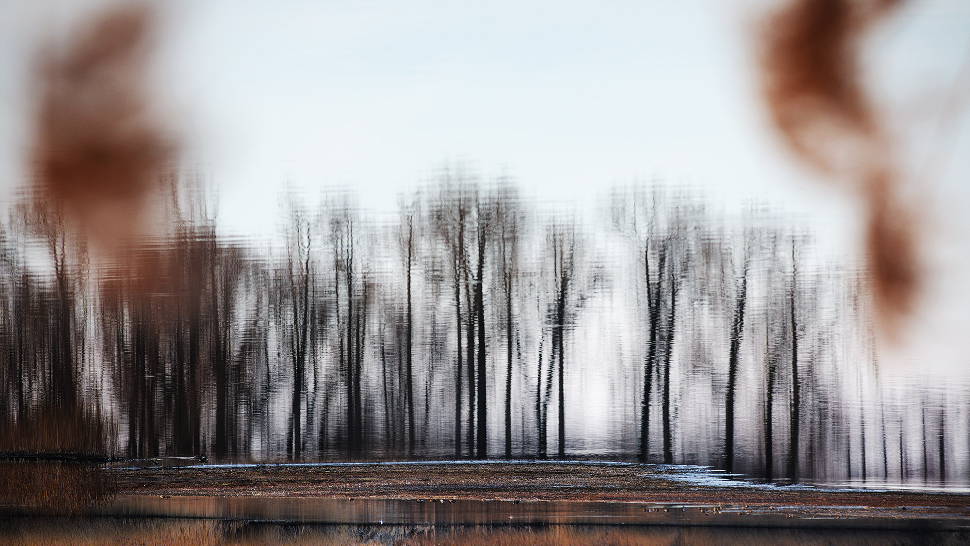 kunst landschap