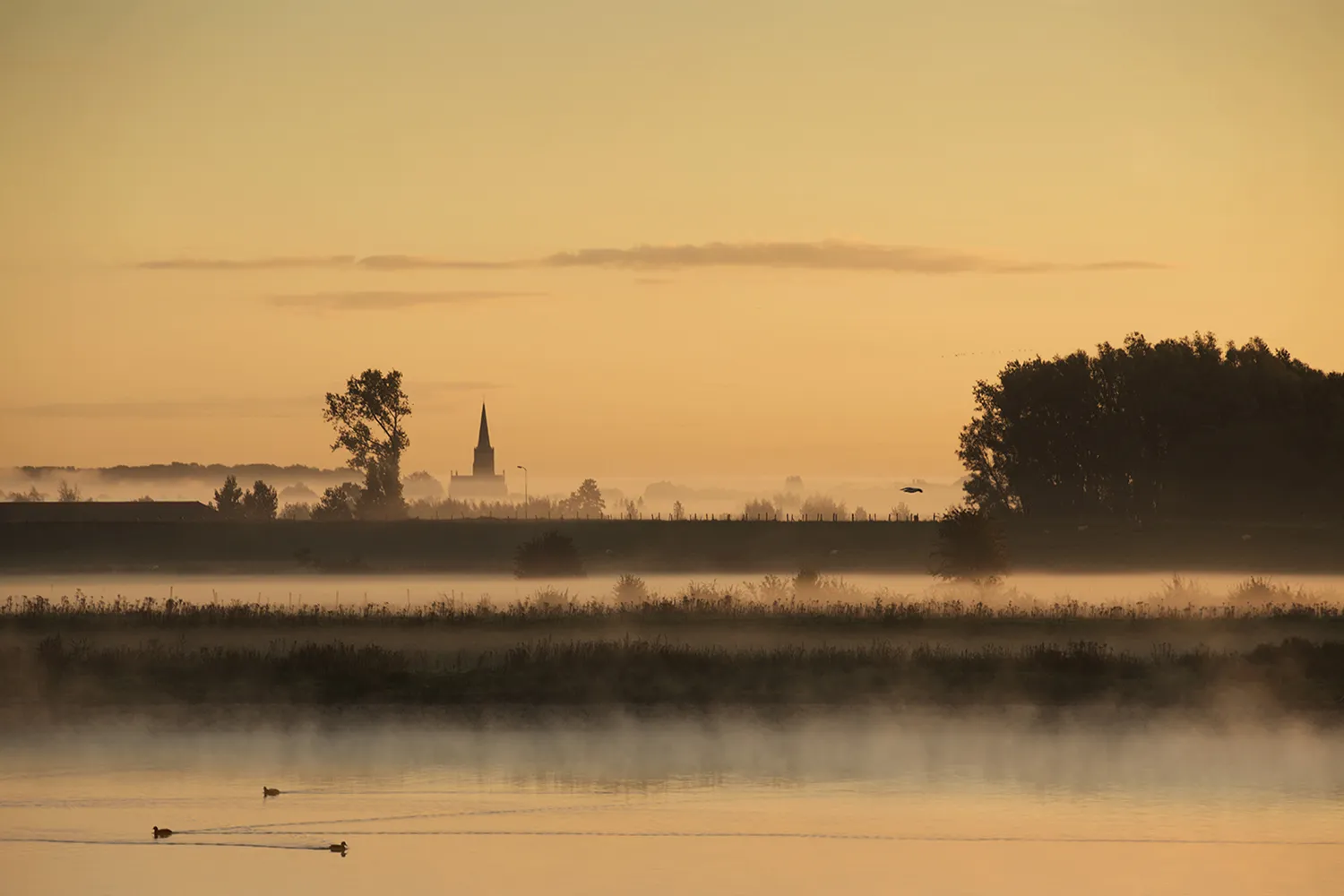 Kerktoren Schalkwijk